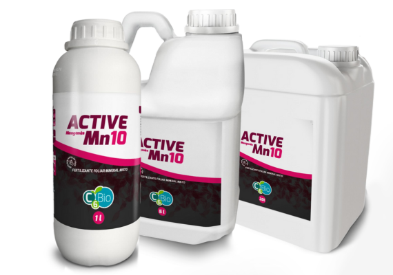 Active Mn10