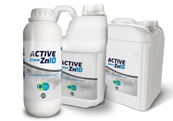 Active Zn10